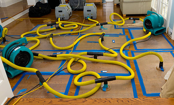 Professional Sewage Cleanup technician working in Abbeville, AL